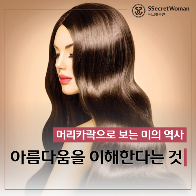 아름다움을 이해한다는 것